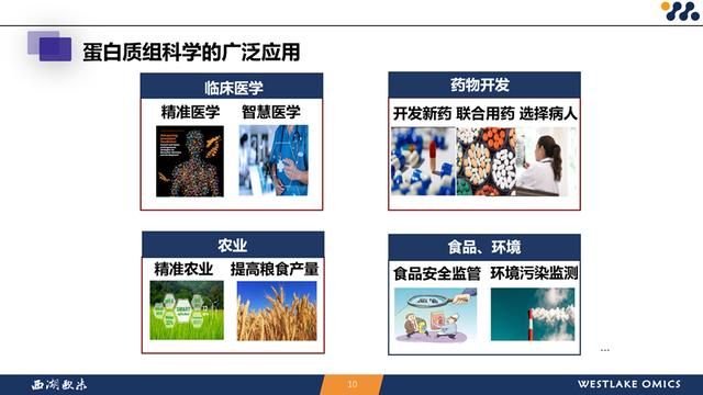人工智能研究院智源学者计划 西湖大学特聘研究员郭天南(8)