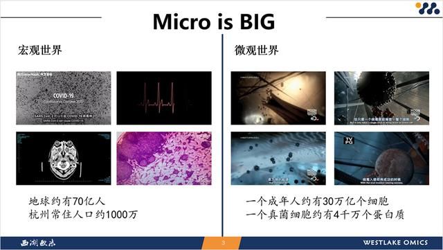 人工智能研究院智源学者计划 西湖大学特聘研究员郭天南(2)