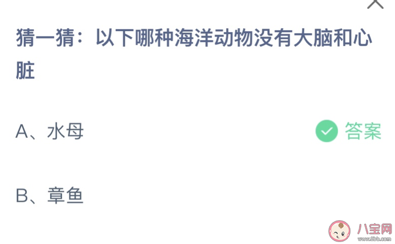 猜猜以下哪种海洋动物没有大脑和心脏 蚂蚁庄园4月12日答案
