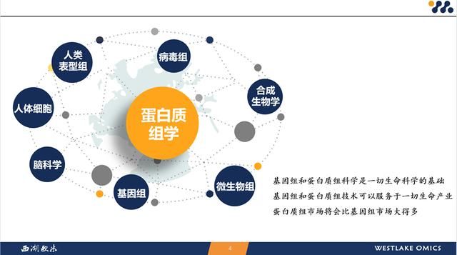 人工智能研究院智源学者计划 西湖大学特聘研究员郭天南(3)