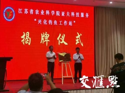 兴化市钓鱼镇网站 兴化钓鱼工作站