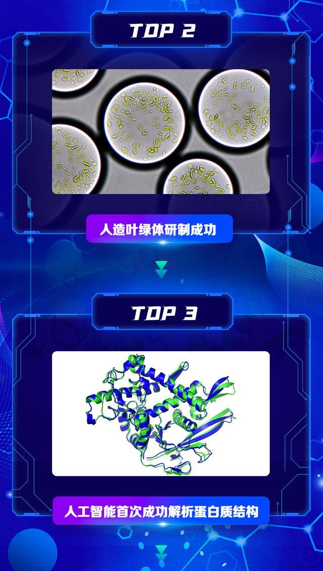 黑洞人工制造 人造叶绿体基因魔剪(3)