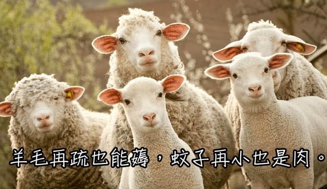 注册时提示该手机号已注册怎么办 您的手机号已被使用(4)