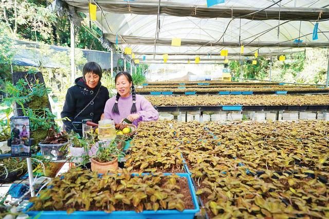 乡村记录真实生活怎么拍摄 龙门80后夫妻档田间地头拍摄新农村原生态短走红