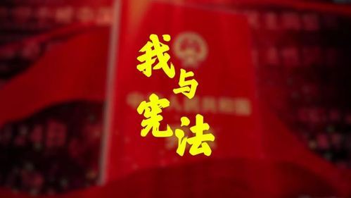 我与宪法讲解 宪在与未来
