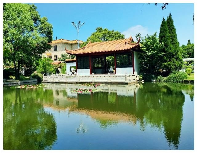 李永民手机摄影 濮阳宾馆-李志民手机拍摄(5)