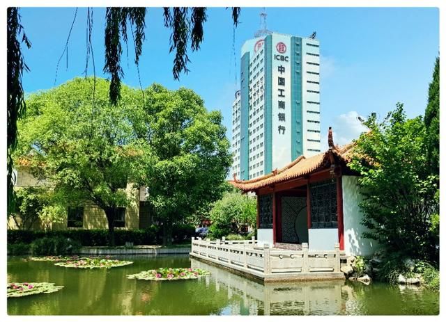 李永民手机摄影 濮阳宾馆-李志民手机拍摄(9)