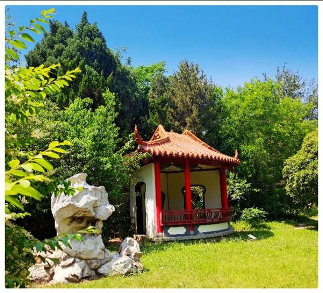李永民手机摄影 濮阳宾馆-李志民手机拍摄(7)