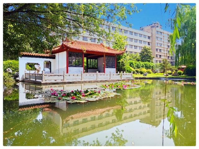 李永民手机摄影 濮阳宾馆-李志民手机拍摄