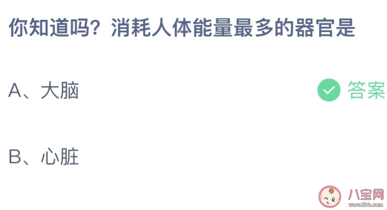 消耗人体能量最多的器官是大脑还是心脏 蚂蚁庄园4月19日答案