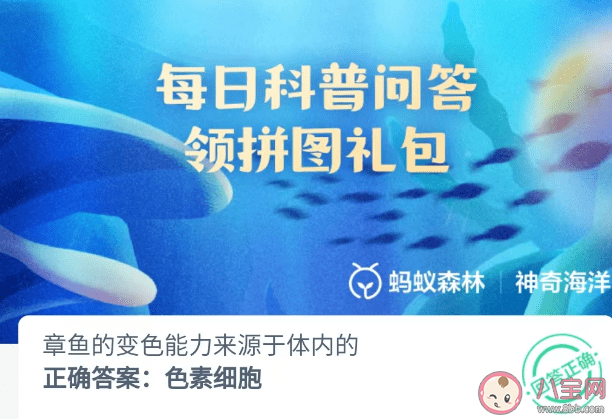 章鱼的变色能力来源于体内的 神奇海洋4月18日答案