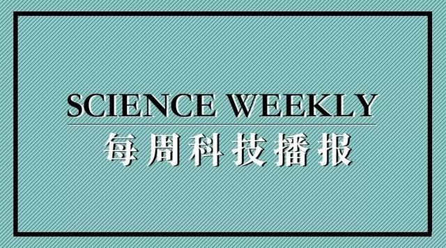 科学家现在已经发现了恐龙和鸟类 科学家发现恐龙和鸟类共同的祖先