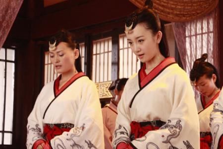 宁静早期演过的电视剧有哪些（九个版本的卫子夫）(7)