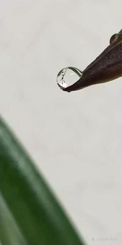 华人手机摄影征稿启事（手拍世界手机摄影平台）(7)