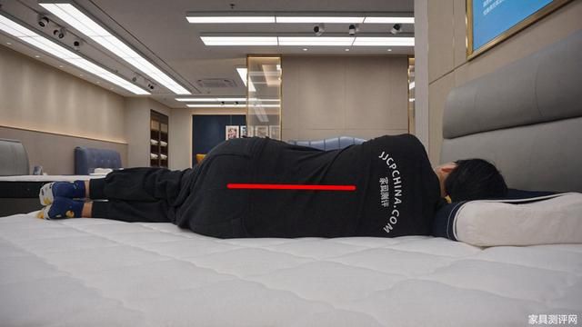 芝华仕五星戴安娜床垫评测（芝华仕5星床垫测评）(32)