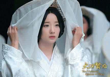 宁静早期演过的电视剧有哪些（九个版本的卫子夫）(9)