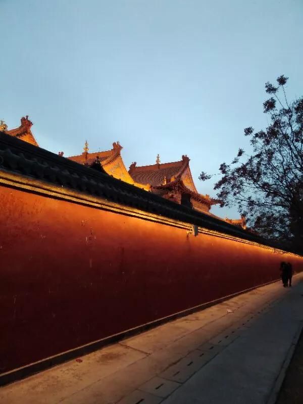 手拍世界手机摄影平台第753期（手拍世界手机摄影平台）(3)