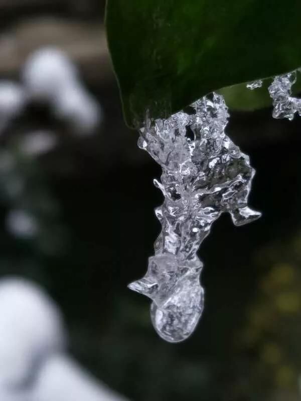 手拍世界手机摄影平台第753期（手拍世界手机摄影平台）(14)