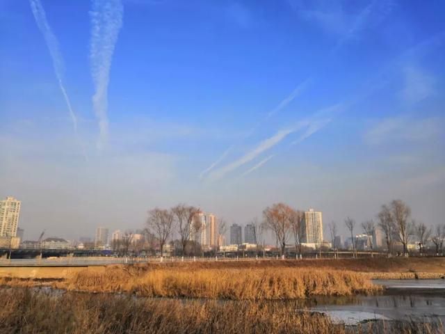 华人手机摄影征稿启事（手拍世界手机摄影平台）(15)