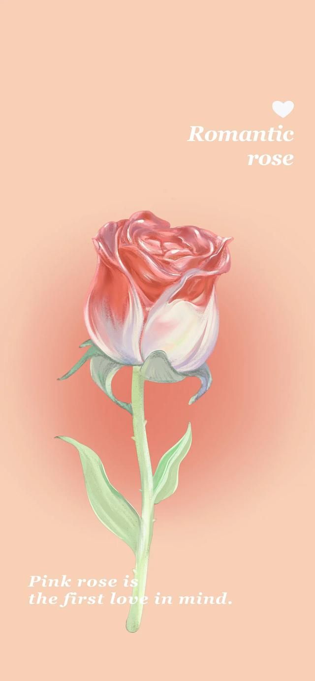 苹果手机壁纸全屏高清可爱卡通（iPhone可爱卡通系列手机壁纸）(12)