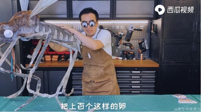 秋天蚊子为什么厉害怎么灭呢 蚊子都是从哪来的(1)