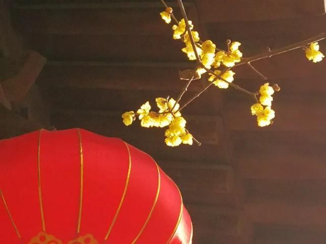 手拍世界手机摄影平台第753期（手拍世界手机摄影平台）(16)