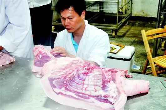 乐昌九峰养猪（攀登养猪科技高地）(1)