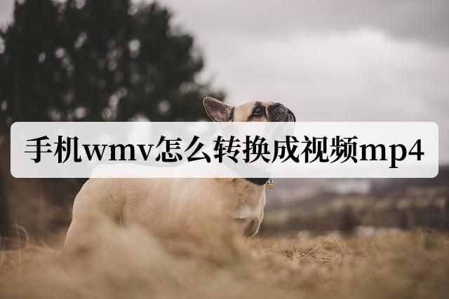 用手机把wmv转换成mp4（手机wmv怎么转换成mp4）