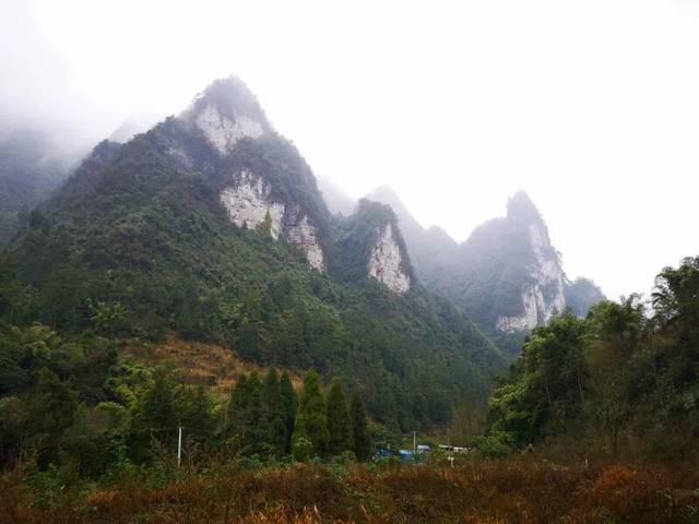 手拍世界手机摄影平台第753期（手拍世界手机摄影平台）(27)