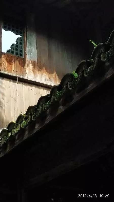 首页啵手拍（手拍世界手机摄影平台）(4)