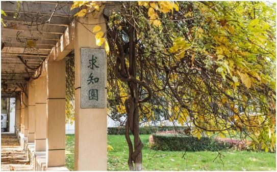 esi热点论文山东科技大学（ESI高被引论文数据）(5)