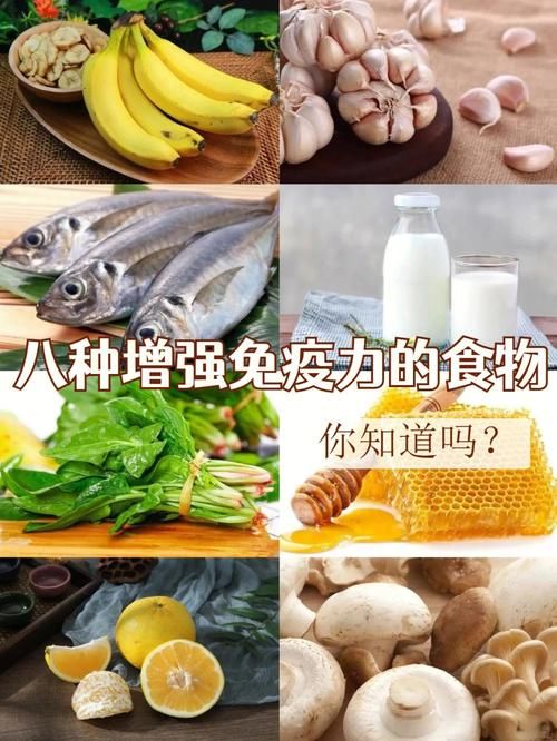 提高免疫系统的食物有什么（据说可以增强免疫系统的食物的真相）
