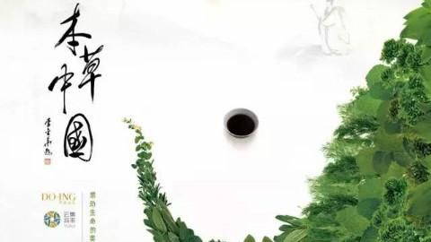 暑假再忙也要让孩子看七部纪录片（孩子假期老玩手机）(11)