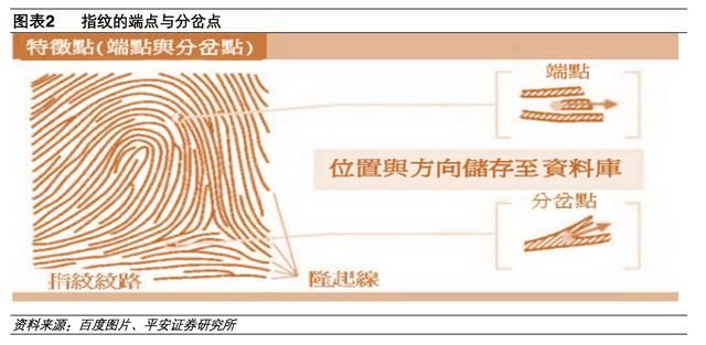 现在手机指纹识别有哪几种（智能手机都在用的）(5)