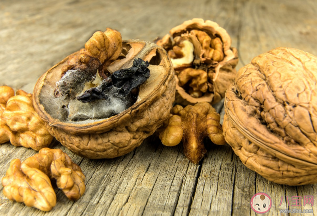 不同食物变质信号是什么 预防食物变质的方法