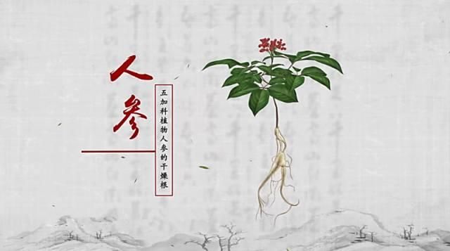 暑假再忙也要让孩子看七部纪录片（孩子假期老玩手机）(12)