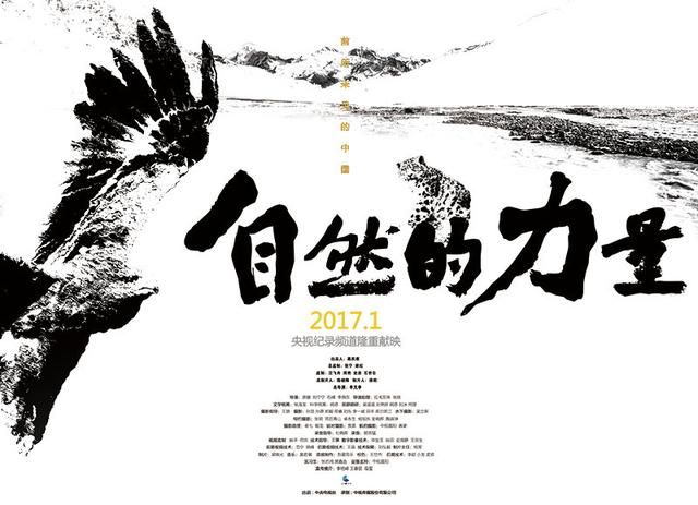 暑假再忙也要让孩子看七部纪录片（孩子假期老玩手机）(5)
