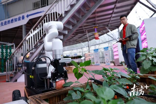 福建华农生态农业（华南农业大学这个）(3)