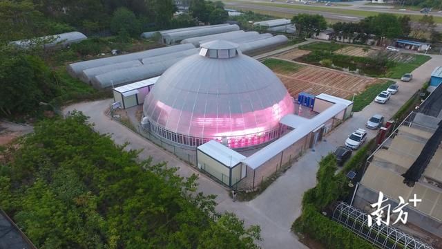 福建华农生态农业（华南农业大学这个）