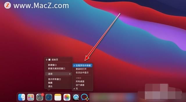 mac的软件自动添加到程序坞（Mac软件如何固定在程序坞上）(4)