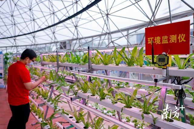 福建华农生态农业（华南农业大学这个）(5)