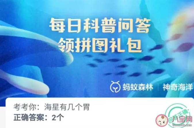 海星有几个胃 神奇海洋4月28日答案