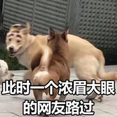 小米的开山之作miui现在怎么样了（深得人心的小米MIUI系统）