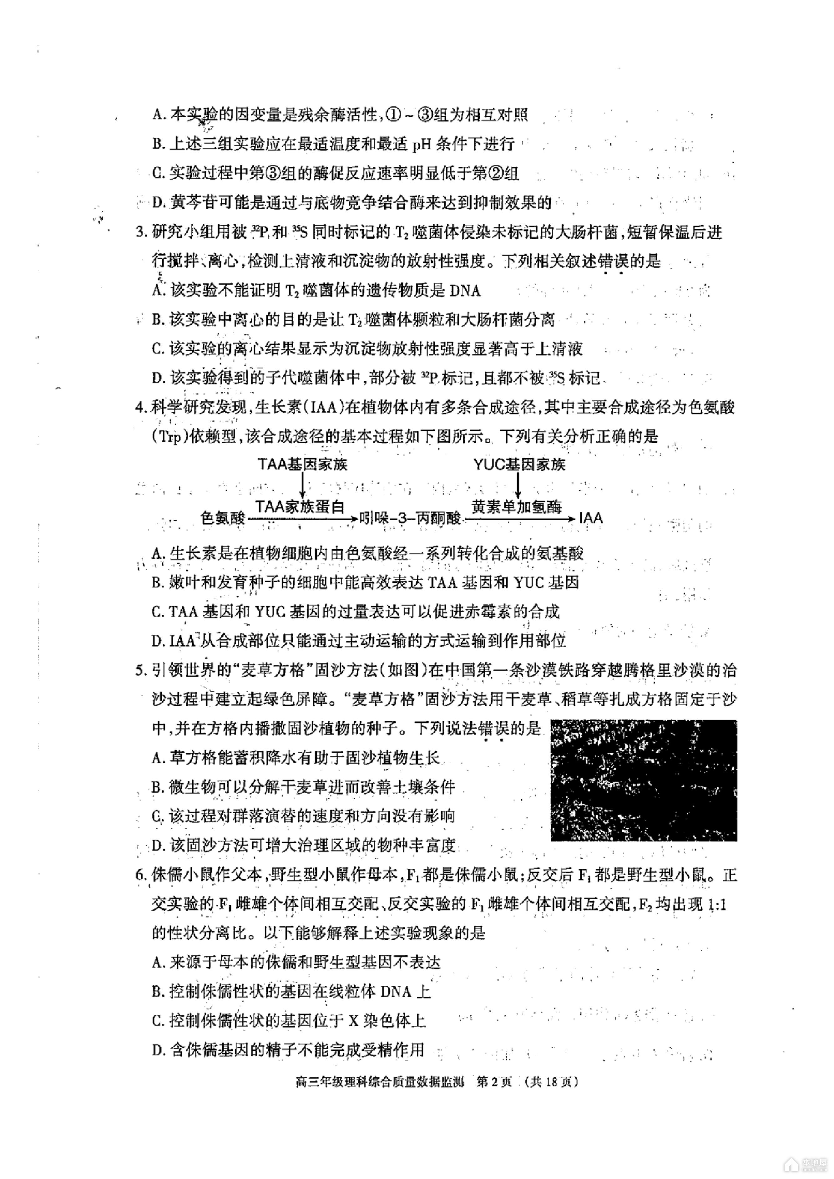 四川“三支一扶”报考流程