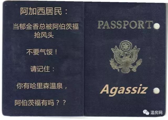 战狼中护照背后的文字（当战狼里的霸气护照变成BC省版本）(35)