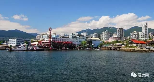 战狼中护照背后的文字（当战狼里的霸气护照变成BC省版本）(14)