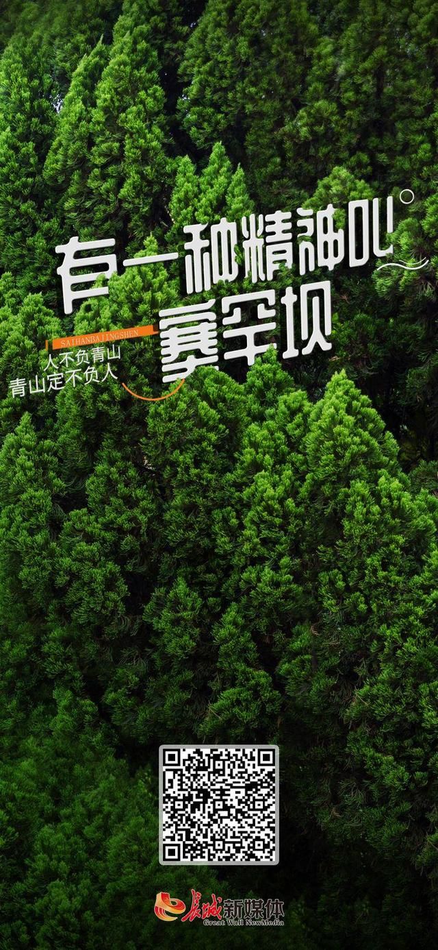 长城原来的模样和现在的模样（长城有一种精神叫塞罕坝）