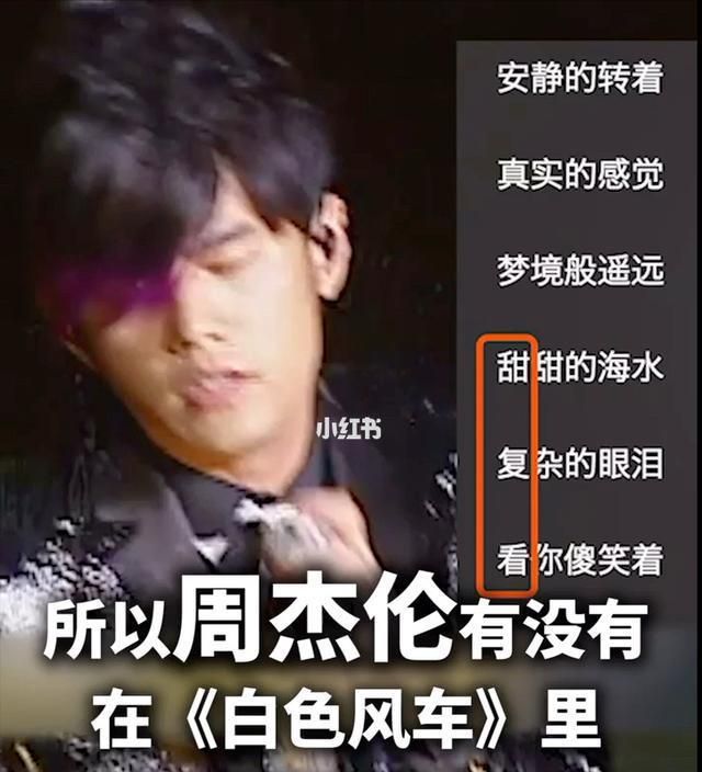 周杰伦助理大妮薪水多少（周杰伦助理大妮）(18)