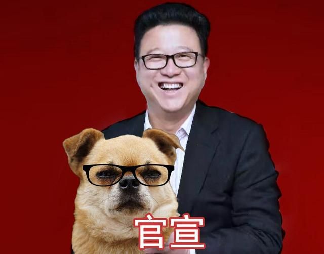 网易budf（网易不务正业又搞事）