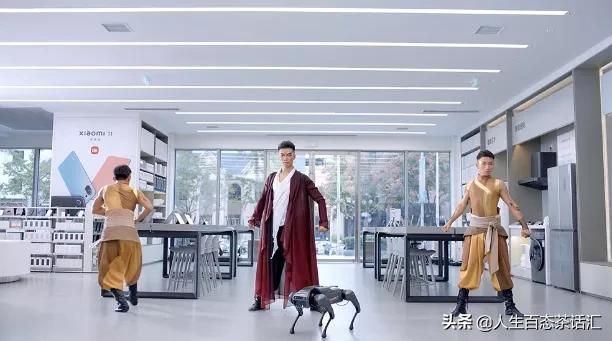小米华丽转身（小米跨界合作再度火出圈）(14)
